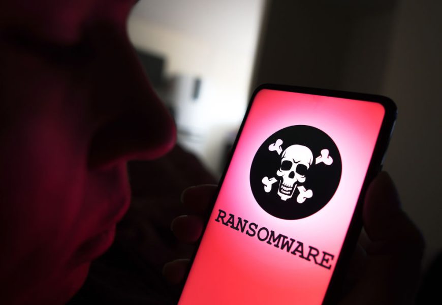 Demand rises for US cybersecurity aid to allies, diplomat says