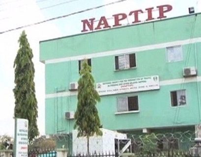 NAPTIP moves to clamp down on online sexual exploitation, sets up cyber security response team