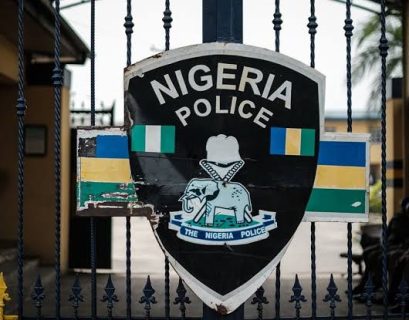 Nigeria Police Partner Hungary To Arrest 21-yr-old Cyber Fraudster