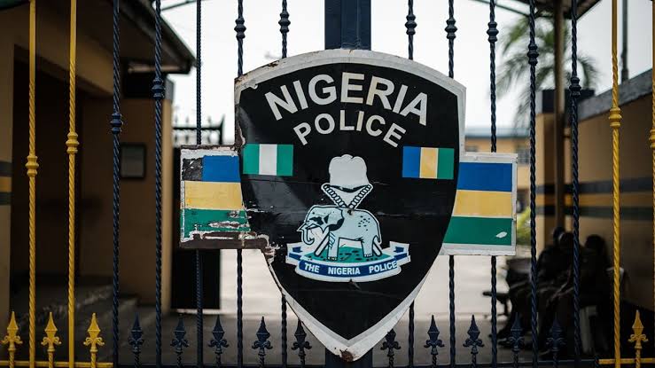 Nigeria Police Partner Hungary To Arrest 21-yr-old Cyber Fraudster