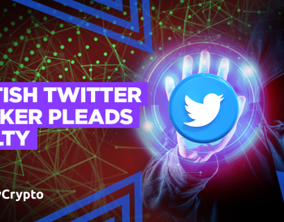 British Twitter Hacker Pleads Guilty in US
