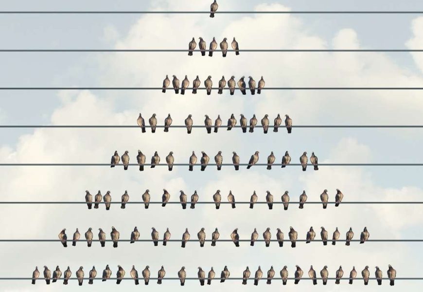 $7.8 Billion Lost to Crypto Ponzi Schemes in 2022: Report