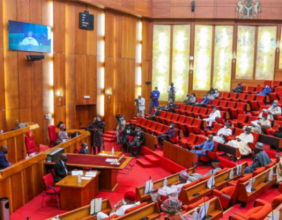Senate calls for public hearing on ICT & Cybercrime Act 2015