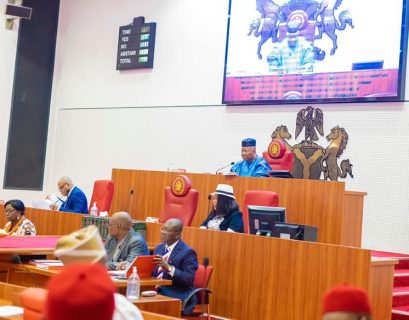 Nigeria’s Senate Seeks Public Input to Amend Problematic Cybercrime Act