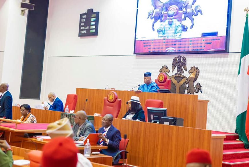 Nigeria’s Senate Seeks Public Input to Amend Problematic Cybercrime Act