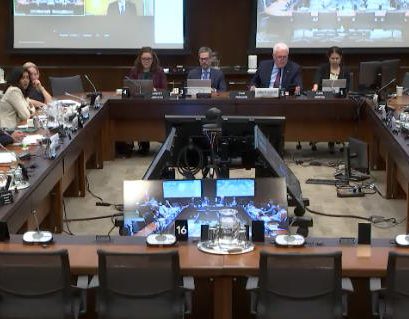 Canadian law regulating social media platforms is needed fast, Parliament told