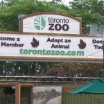 Toronto Zoo hit by cyberattack