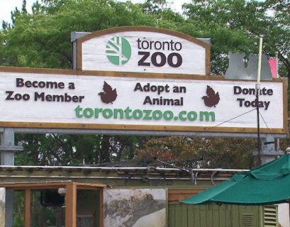 Toronto Zoo hit by cyberattack