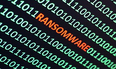 Toronto Zoo hit by ransomware