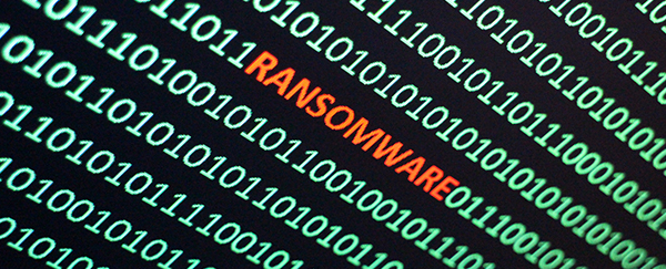 Toronto Zoo hit by ransomware