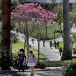 UC Irvine Students Hospitalized After Hackers Sent Disgusting Images to Their Discord Server