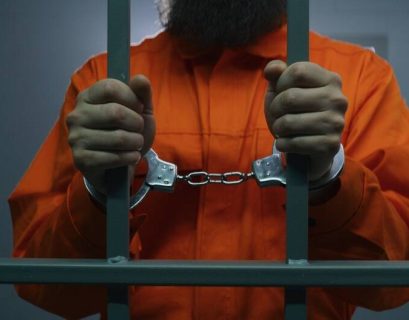 Zeus, IcedID malware kingpin faces 40 years in slammer