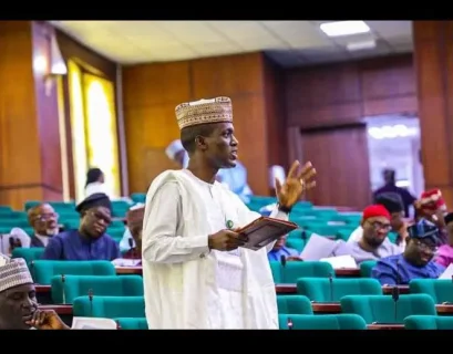 Why national cybersecurity levy should be suspended – Bauchi lawmaker tells House of Reps