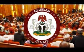 Senate okays 0.5% cybersecurity levy, Reps halt implementation, northern elders kick