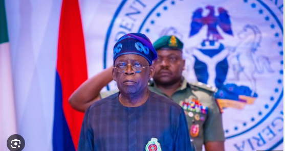 Tinubu suspends cybersecurity levy