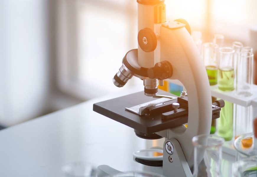 News24 | All systems down as cyberattack hits govt’s national health lab