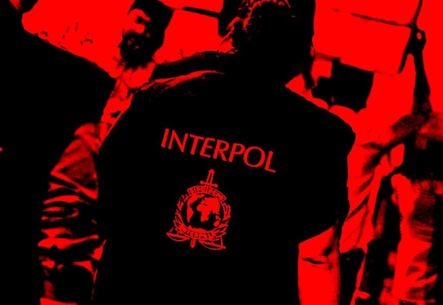 Over 1,000 arrested in massive ‘Serengeti’ anti-cybercrime operation