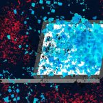 Rhode Island says personal data likely breached in social services cyberattack