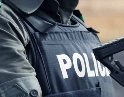 Police recovered N8.8bn, arrested 751 cybercriminals in 2024 – FPRO