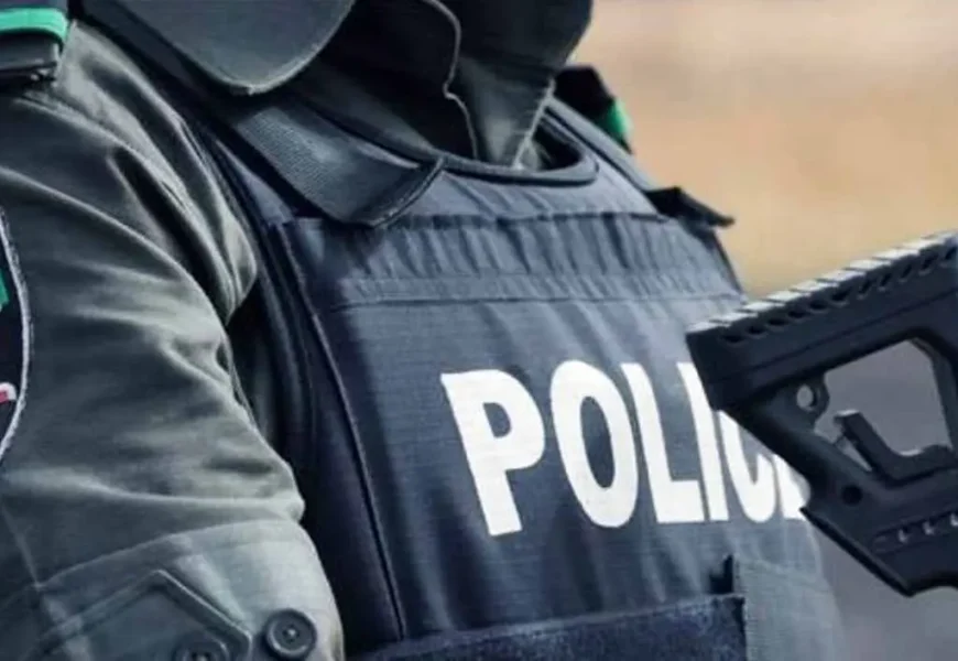 Police recovered N8.8bn, arrested 751 cybercriminals in 2024 – FPRO
