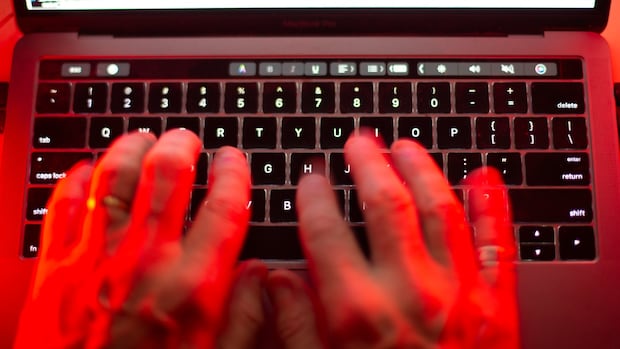 Privacy commissioner probing massive breach of student information
