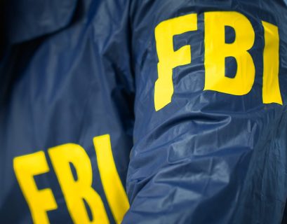 FBI’s Year-Long Crypto Sting: Secret Takeover of an Elon Musk-Themed Crypto Laundering Empire