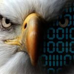 Cybercrime is ‘orders of magnitude’ larger than state-backed ops, says ex-White House advisor