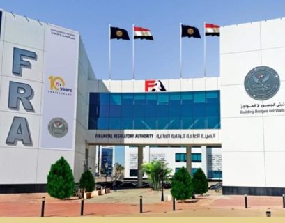 Egypt’s FRA issues new website and cybersecurity rules for insurance sector