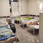 Major cyber attack closes hundreds of pharmacies across Russia