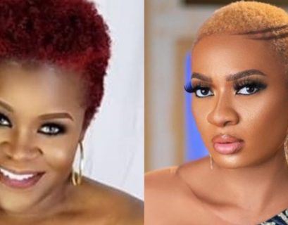 You’re Very Insane – Yinka Theisen Fires Back At May Edochie Over ₦500 Million Lawsuit