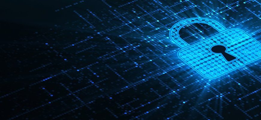 Netherlands establishes cyber resilience network to strengthen public-private digital defence