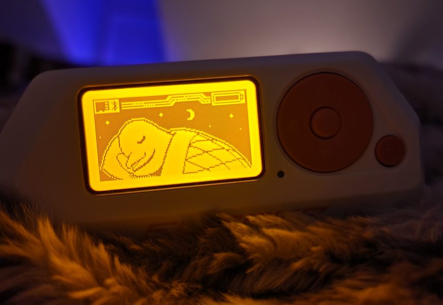 Does TSA Let You Travel With A Flipper Zero In Your Carry-On Luggage?