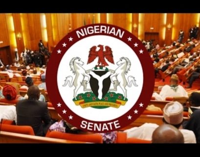 Senate, DG BPP, others call for .ng adoption to promote Nigeria’s digital identity
