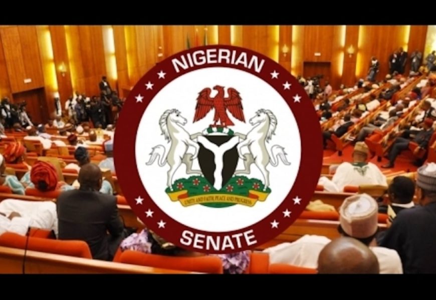 Senate, DG BPP, others call for .ng adoption to promote Nigeria’s digital identity