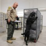 Big changes to agency charged with securing elections lead to midterm worries…