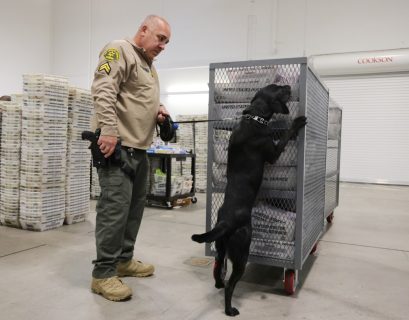 Big changes to agency charged with securing elections lead to midterm worries…