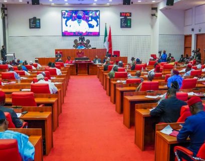Weâre reworking cybercrime law â Senate