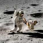 National Cyber Security Centre campaign puts firm on the Moon to escape hackers