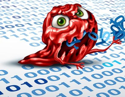 Vulnerability reports: Increase in quantity, decrease in quality?