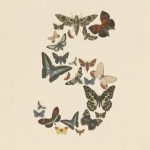 Anthropic’s Fable 5 shutdown ends with tougher safeguards and federal approval