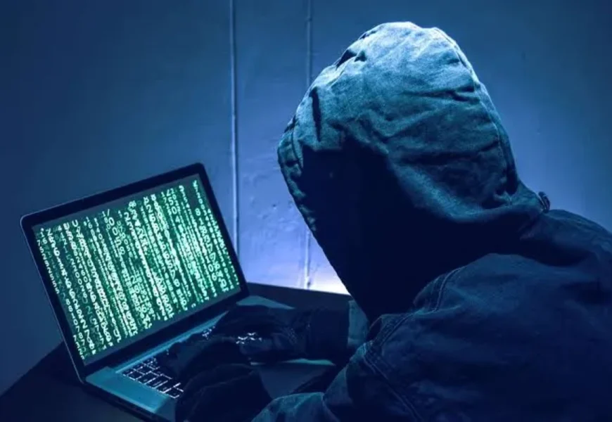 INTERPOL identifies Nigeria as both origin and target of African cybercrime operations