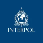 INTERPOL Says AI Fuels 55% of Cybercrime Across Africa as Losses Hit $484 Million