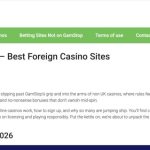 NHS health app’s site becomes the latest to be cyber attacked by illegal gambling adverts