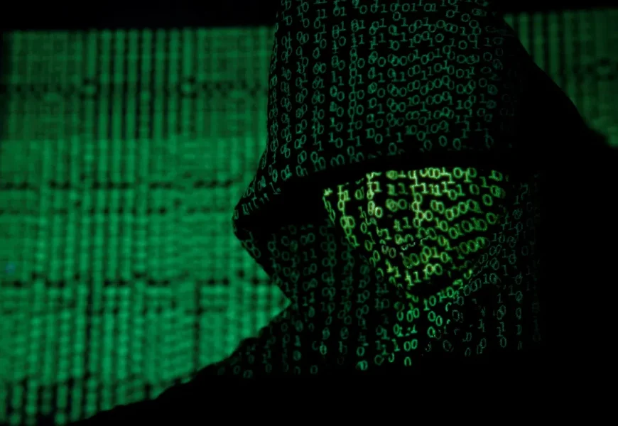 Berlin launches crisis response after hackers publish stolen data