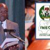 Ex-INEC Commissioner Reveals What Caused Portal Glitch During 2023 Elections