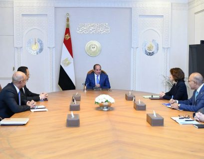 Al-Sisi urges Orange to join second phase of digital health project