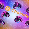 Blockchain investigator Chainalysis hit by cybersecurity incident